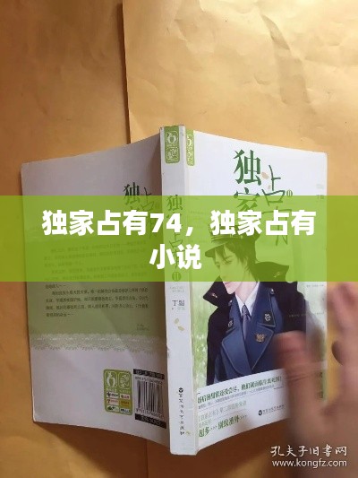 獨(dú)家占有74，獨(dú)家占有小說(shuō) 
