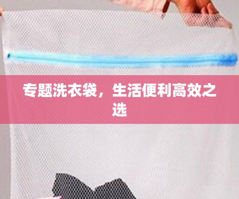 專題洗衣袋，生活便利高效之選