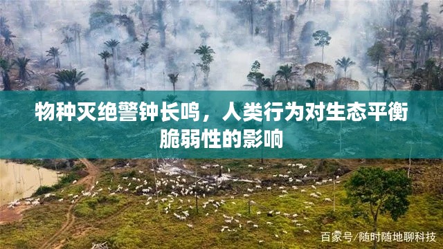 物種滅絕警鐘長(zhǎng)鳴，人類(lèi)行為對(duì)生態(tài)平衡脆弱性的影響