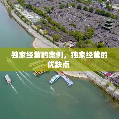 獨(dú)家經(jīng)營(yíng)的案例，獨(dú)家經(jīng)營(yíng)的優(yōu)缺點(diǎn) 