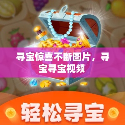 尋寶驚喜不斷圖片，尋寶尋寶視頻 