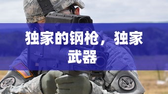獨家的鋼槍，獨家武器 