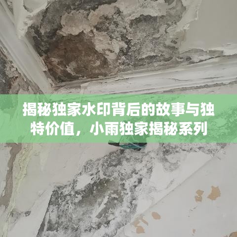 揭秘獨(dú)家水印背后的故事與獨(dú)特價值，小雨獨(dú)家揭秘系列