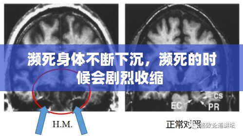 瀕死身體不斷下沉，瀕死的時候會劇烈收縮 
