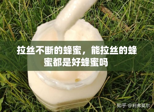 拉絲不斷的蜂蜜，能拉絲的蜂蜜都是好蜂蜜嗎 