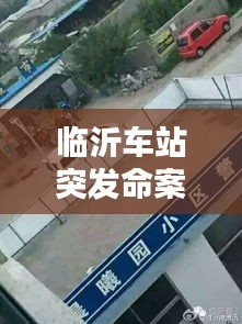 臨沂車站突發(fā)命案揭秘，真相報(bào)道與分析