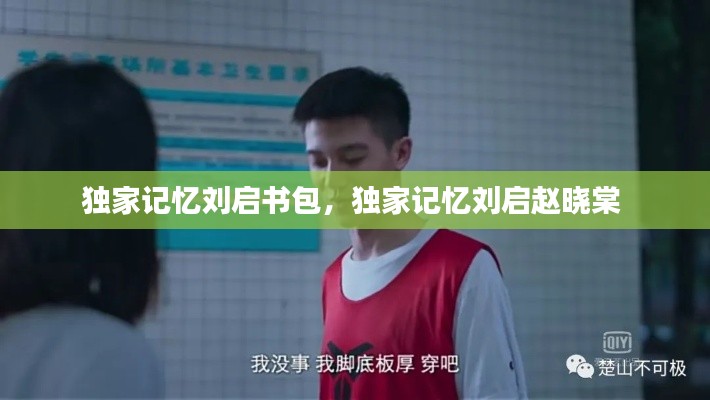 獨(dú)家記憶劉啟書包，獨(dú)家記憶劉啟趙曉棠 