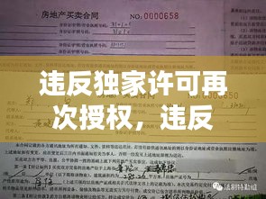違反獨(dú)家許可再次授權(quán)，違反獨(dú)家代理權(quán)合同違約責(zé)任 