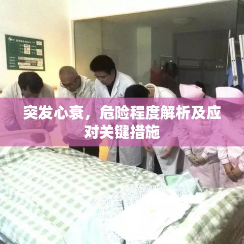 突發(fā)心衰，危險程度解析及應(yīng)對關(guān)鍵措施