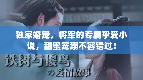 獨(dú)家婚寵，將軍的專屬摯愛小說，甜蜜寵溺不容錯過！