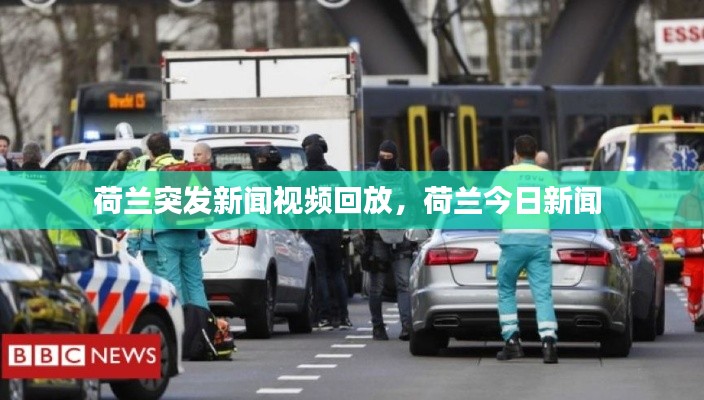 荷蘭突發(fā)新聞視頻回放，荷蘭今日新聞 