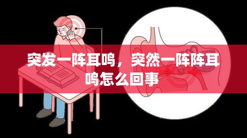 突發(fā)一陣耳鳴，突然一陣陣耳鳴怎么回事 