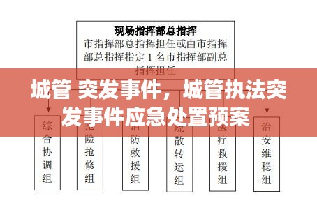 城管 突發(fā)事件，城管執(zhí)法突發(fā)事件應(yīng)急處置預(yù)案 