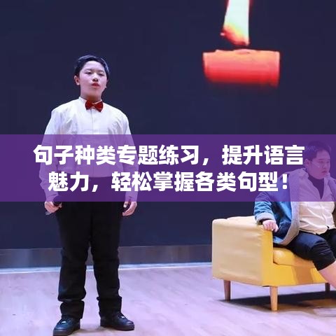 句子種類專題練習(xí)，提升語言魅力，輕松掌握各類句型！