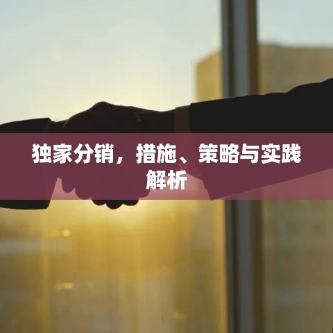 獨(dú)家分銷，措施、策略與實(shí)踐解析
