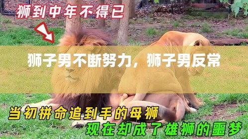 獅子男不斷努力，獅子男反常 