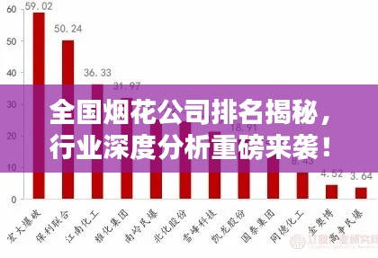全國(guó)煙花公司排名揭秘，行業(yè)深度分析重磅來(lái)襲！