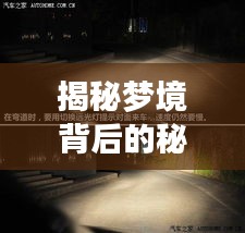揭秘夢境背后的秘密，夜晚頻繁做夢的原因及解決方法探索
