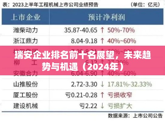 瑞安企業(yè)排名前十名展望，未來趨勢與機遇（2024年）