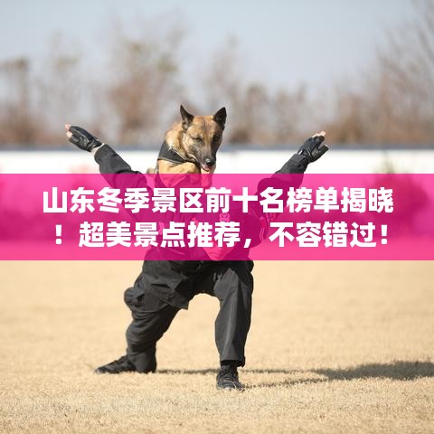 山東冬季景區(qū)前十名榜單揭曉！超美景點推薦，不容錯過！