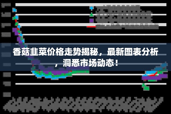 香菇韭菜價(jià)格走勢(shì)揭秘，最新圖表分析，洞悉市場(chǎng)動(dòng)態(tài)！