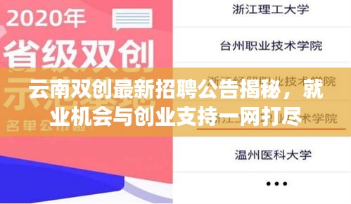 云南雙創(chuàng)最新招聘公告揭秘，就業(yè)機(jī)會(huì)與創(chuàng)業(yè)支持一網(wǎng)打盡