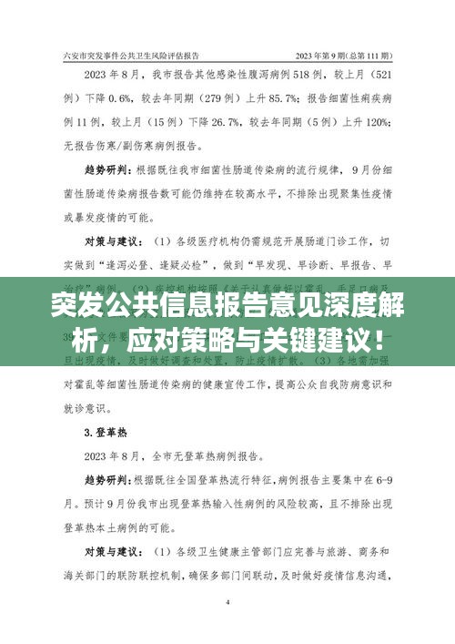 突發(fā)公共信息報告意見深度解析，應(yīng)對策略與關(guān)鍵建議！