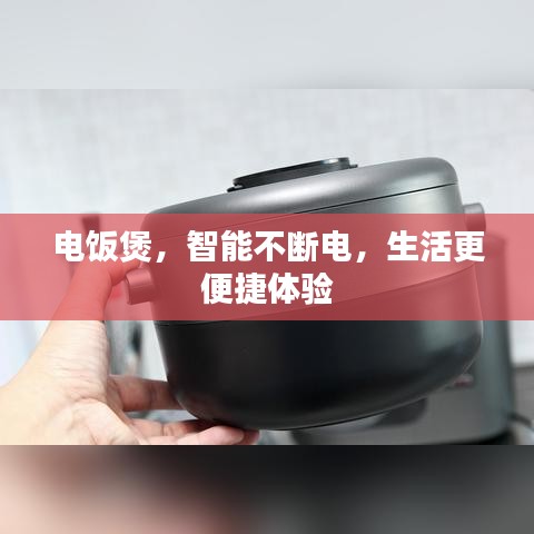 電飯煲，智能不斷電，生活更便捷體驗