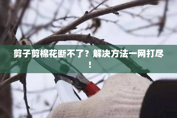 剪子剪棉花斷不了？解決方法一網(wǎng)打盡！
