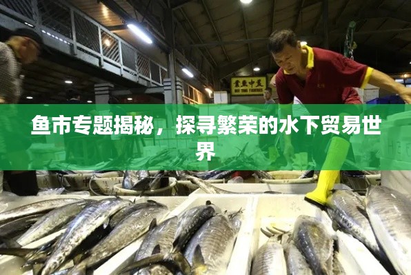 魚市專題揭秘，探尋繁榮的水下貿(mào)易世界