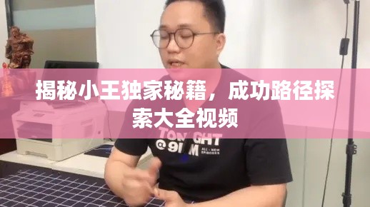 揭秘小王獨家秘籍，成功路徑探索大全視頻
