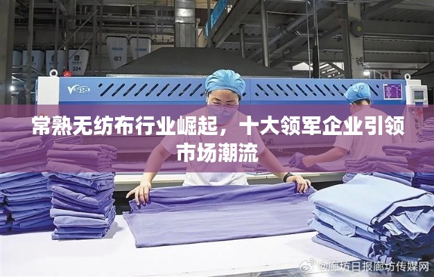 常熟無紡布行業(yè)崛起，十大領(lǐng)軍企業(yè)引領(lǐng)市場潮流