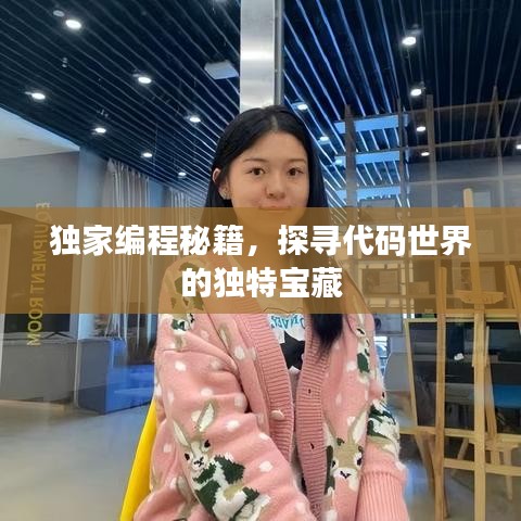 獨(dú)家編程秘籍，探尋代碼世界的獨(dú)特寶藏