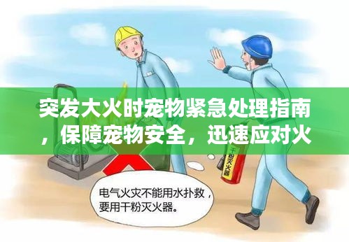 突發(fā)大火時寵物緊急處理指南，保障寵物安全，迅速應對火災！