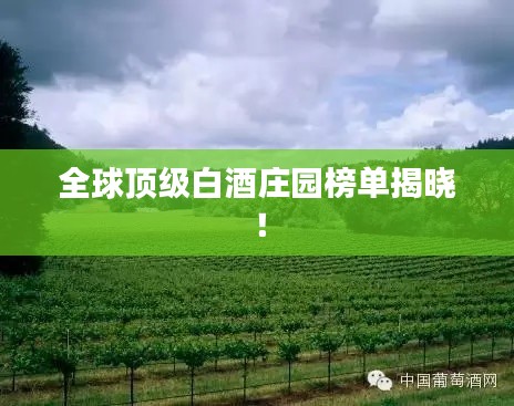 全球頂級白酒莊園榜單揭曉！
