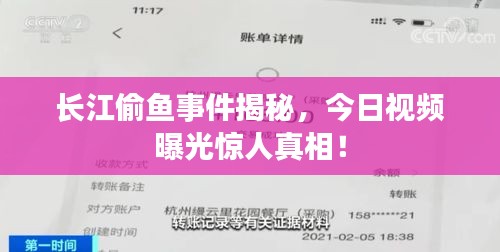 長(zhǎng)江偷魚(yú)事件揭秘，今日視頻曝光驚人真相！