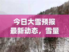 今日大雪預報最新動態(tài)，雪量、時間一覽無余！