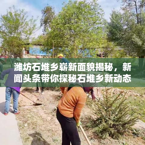 濰坊石堆鄉(xiāng)嶄新面貌揭秘，新聞頭條帶你探秘石堆鄉(xiāng)新動態(tài)