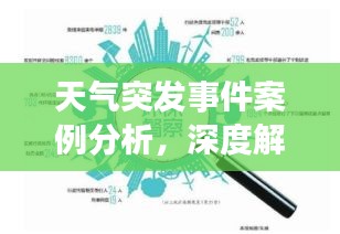 天氣突發(fā)事件案例分析，深度解讀背后的原因與應(yīng)對策略