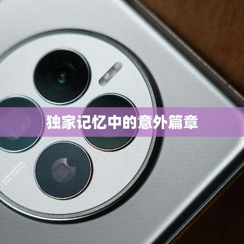 獨家記憶中的意外篇章