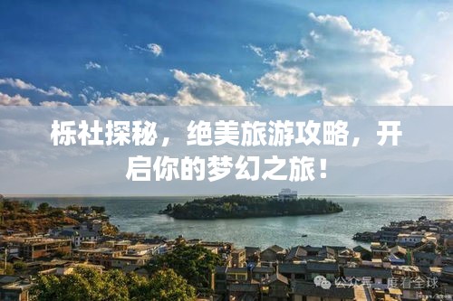 櫟社探秘，絕美旅游攻略，開啟你的夢幻之旅！