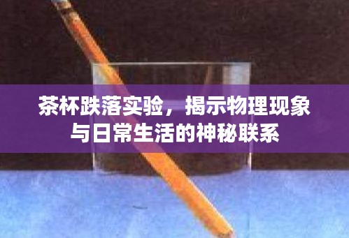 茶杯跌落實驗，揭示物理現(xiàn)象與日常生活的神秘聯(lián)系