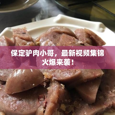 保定驢肉小哥，最新視頻集錦火爆來襲！