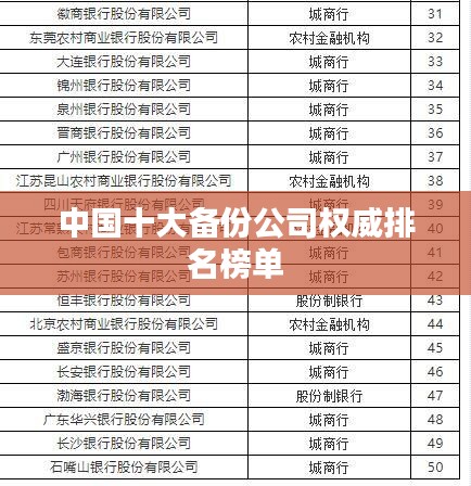 中國(guó)十大備份公司權(quán)威排名榜單