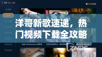 洋哥新歌速遞，熱門視頻下載全攻略