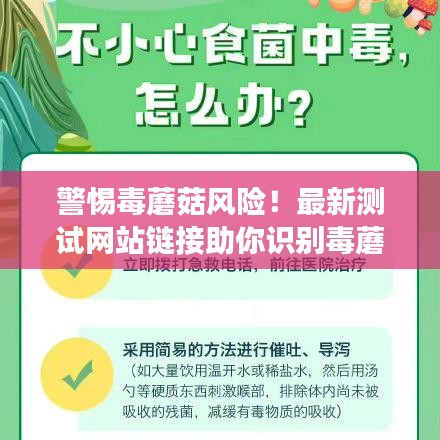 警惕毒蘑菇風(fēng)險！最新測試網(wǎng)站鏈接助你識別毒蘑菇，保障健康