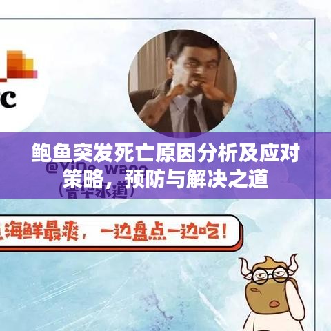 鮑魚(yú)突發(fā)死亡原因分析及應(yīng)對(duì)策略，預(yù)防與解決之道