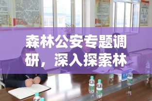 森林公安專題調(diào)研，深入探索林業(yè)安全之道