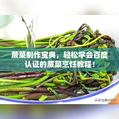 蕨菜制作寶典，輕松學(xué)會(huì)百度認(rèn)證的蕨菜烹飪教程！