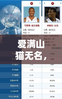 愛滿山貓無名，最新動(dòng)態(tài)一網(wǎng)打盡